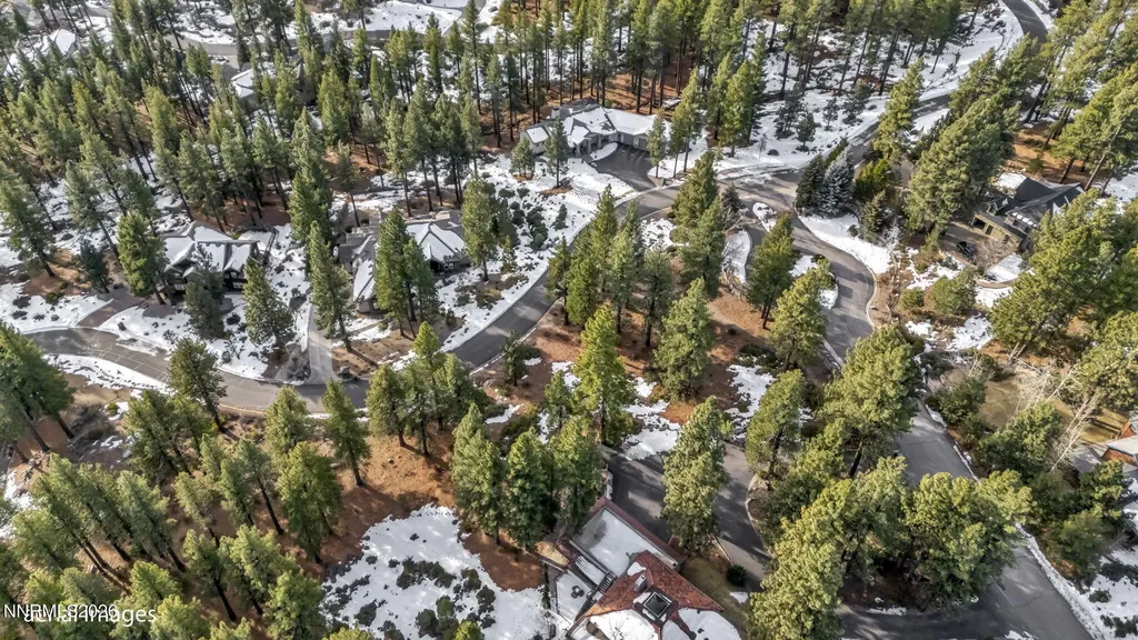 307 Jeffrey Pine Reno NV 89511