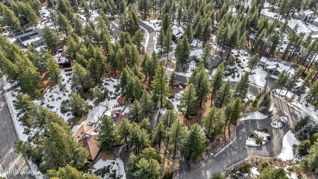 307 Jeffrey Pine Reno NV 89511