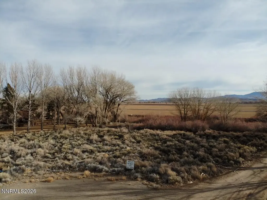 8 Moyle Yerington NV 89447