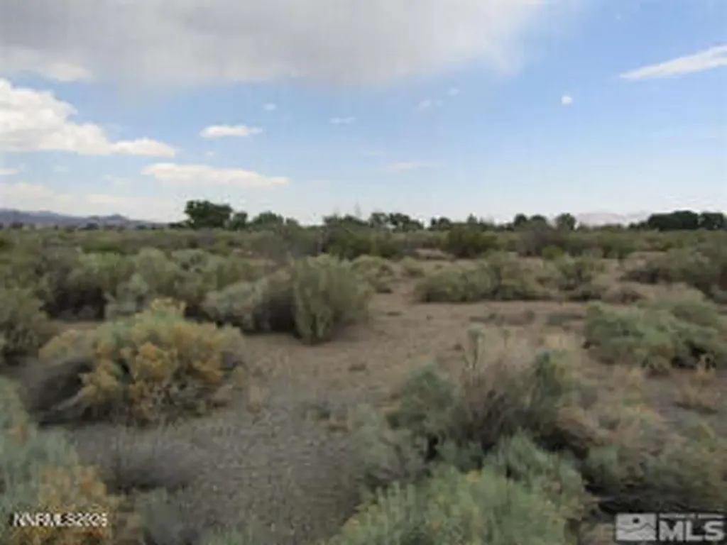 6 Calico Hills Yerington NV 89447