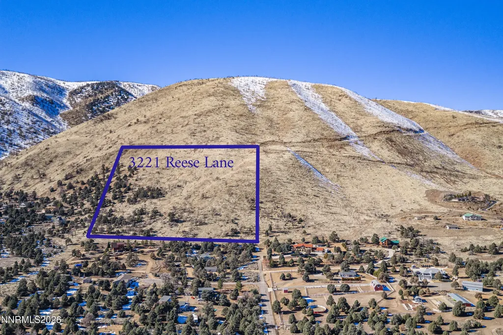 3221 Reese Gardnerville NV 89410