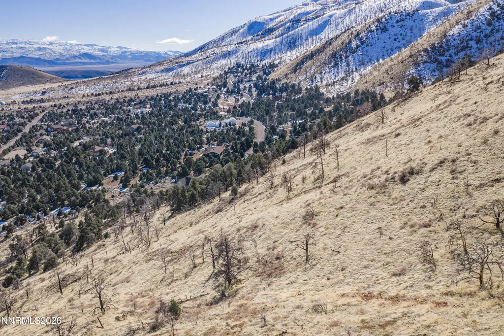 3221 Reese Gardnerville NV 89410