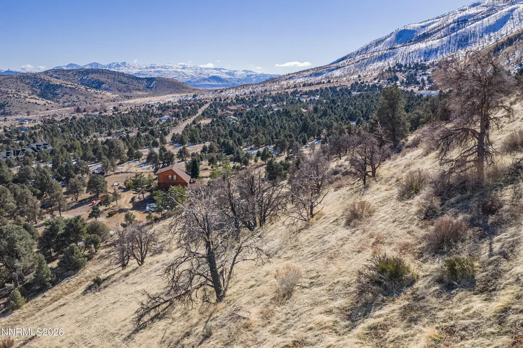 3221 Reese Gardnerville NV 89410