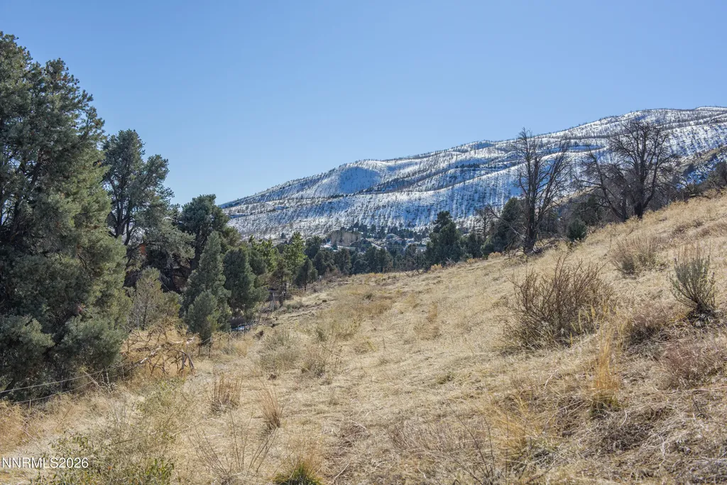 3221 Reese Gardnerville NV 89410