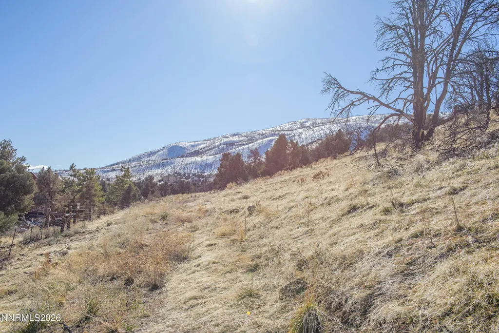 3221 Reese Gardnerville NV 89410