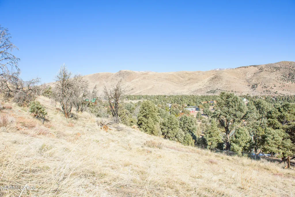3221 Reese Gardnerville NV 89410
