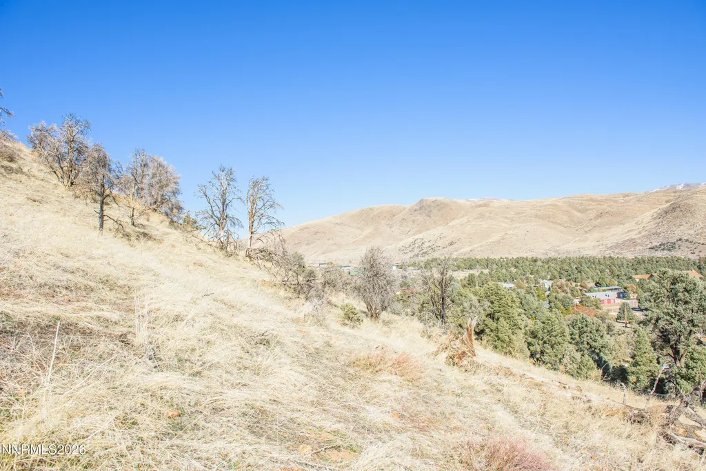 3221 Reese Gardnerville NV 89410