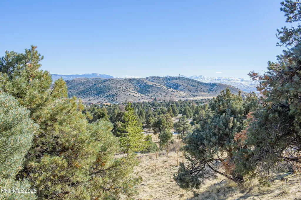 3221 Reese Gardnerville NV 89410