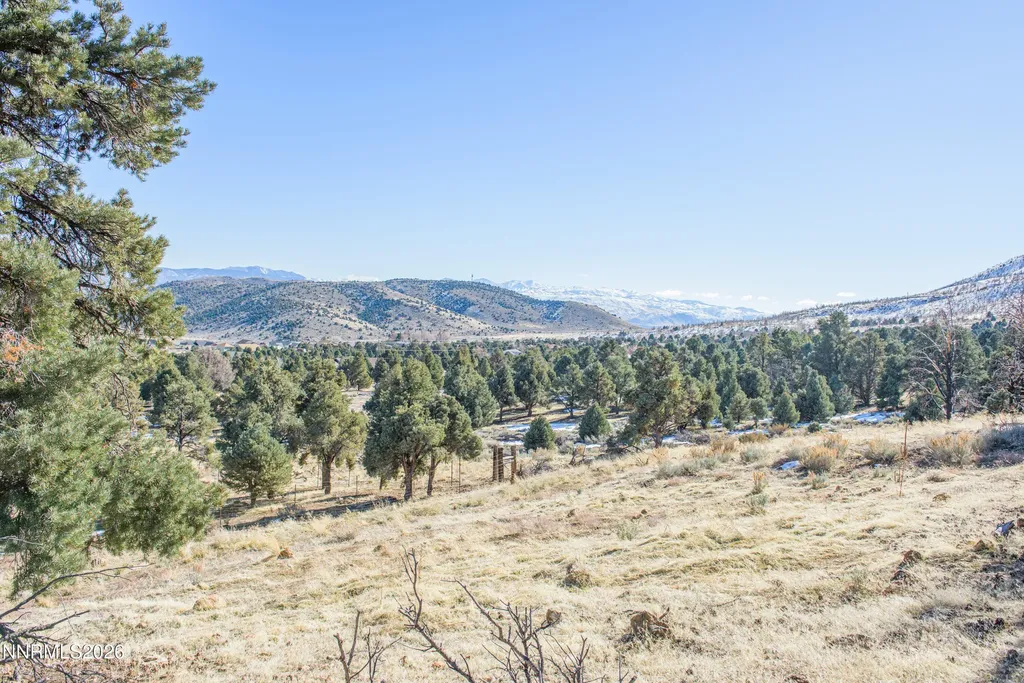 3221 Reese Gardnerville NV 89410