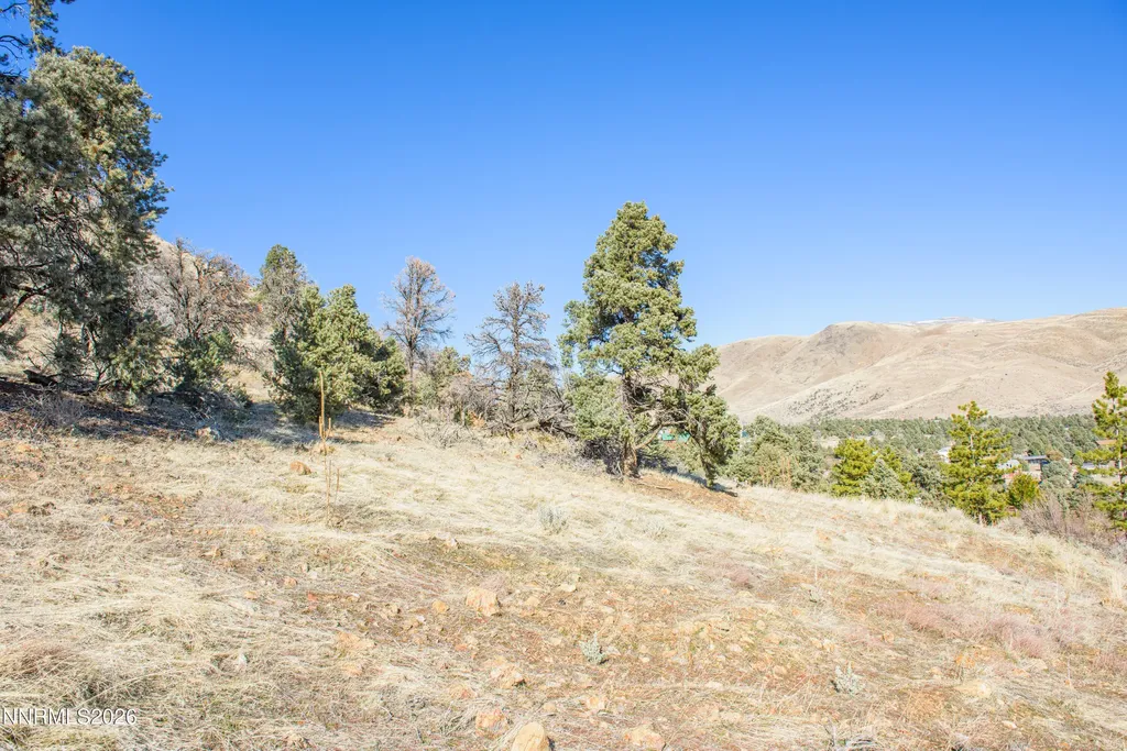 3221 Reese Gardnerville NV 89410