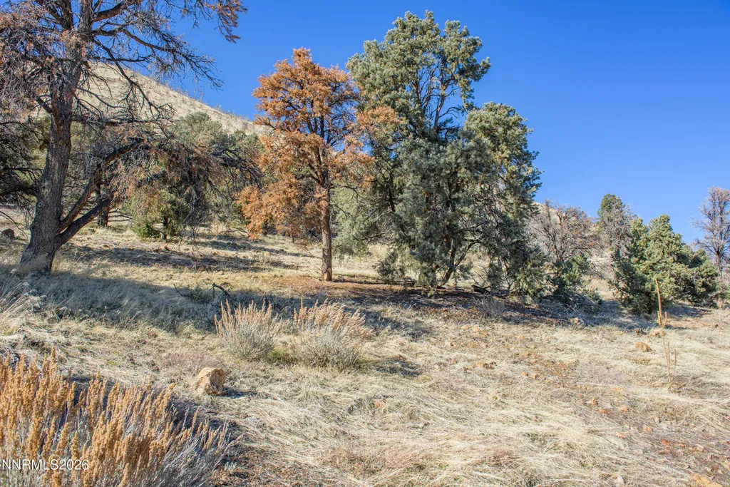 3221 Reese Gardnerville NV 89410