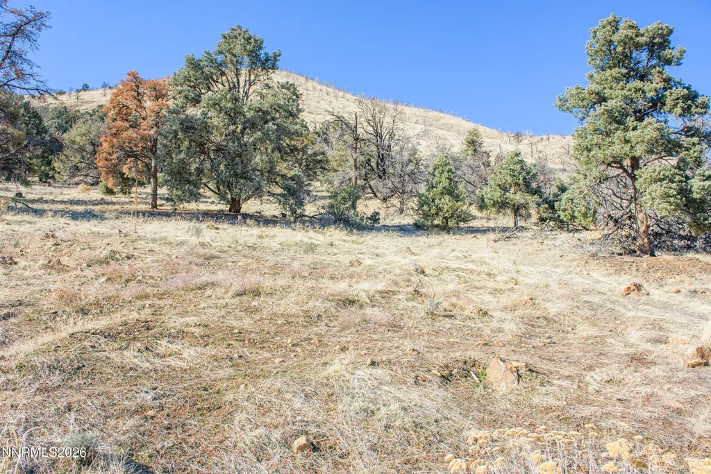 3221 Reese Gardnerville NV 89410