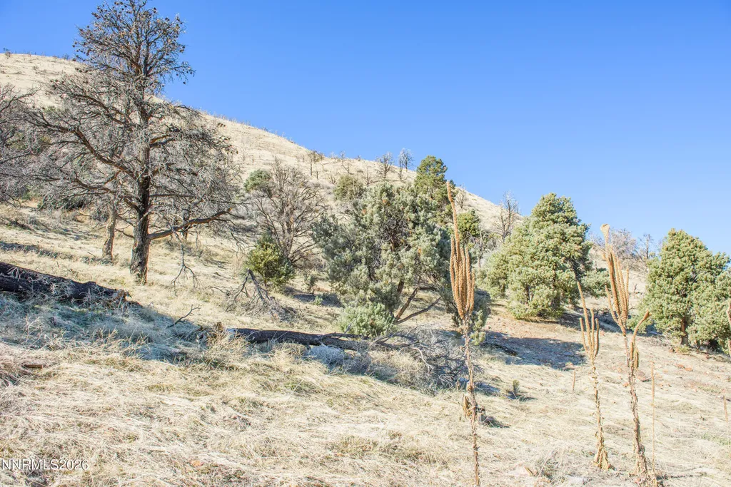 3221 Reese Gardnerville NV 89410