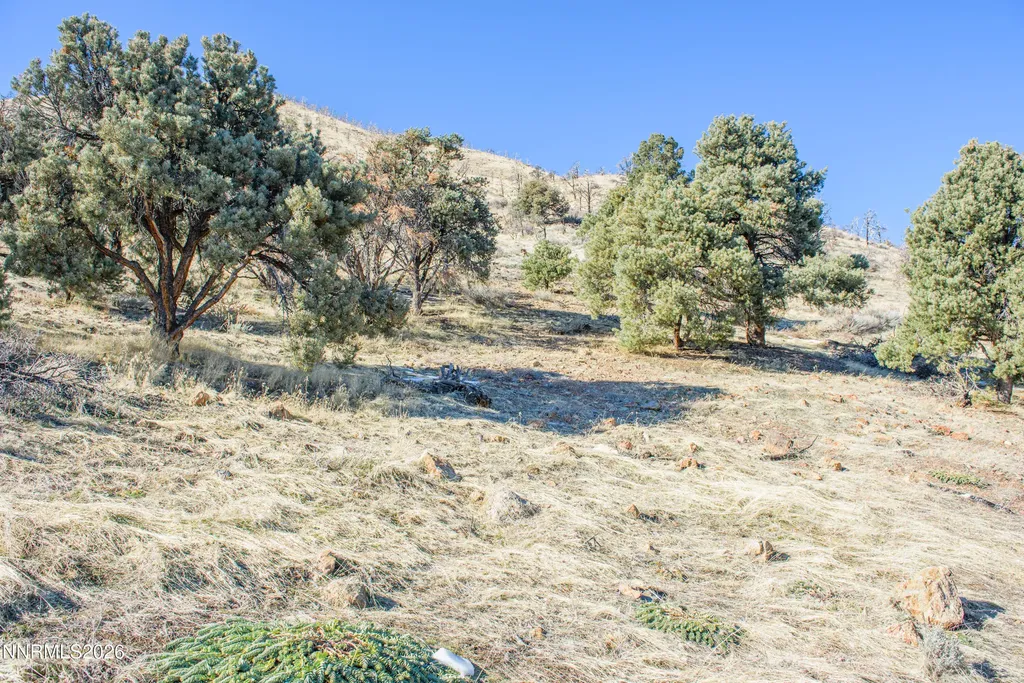 3221 Reese Gardnerville NV 89410