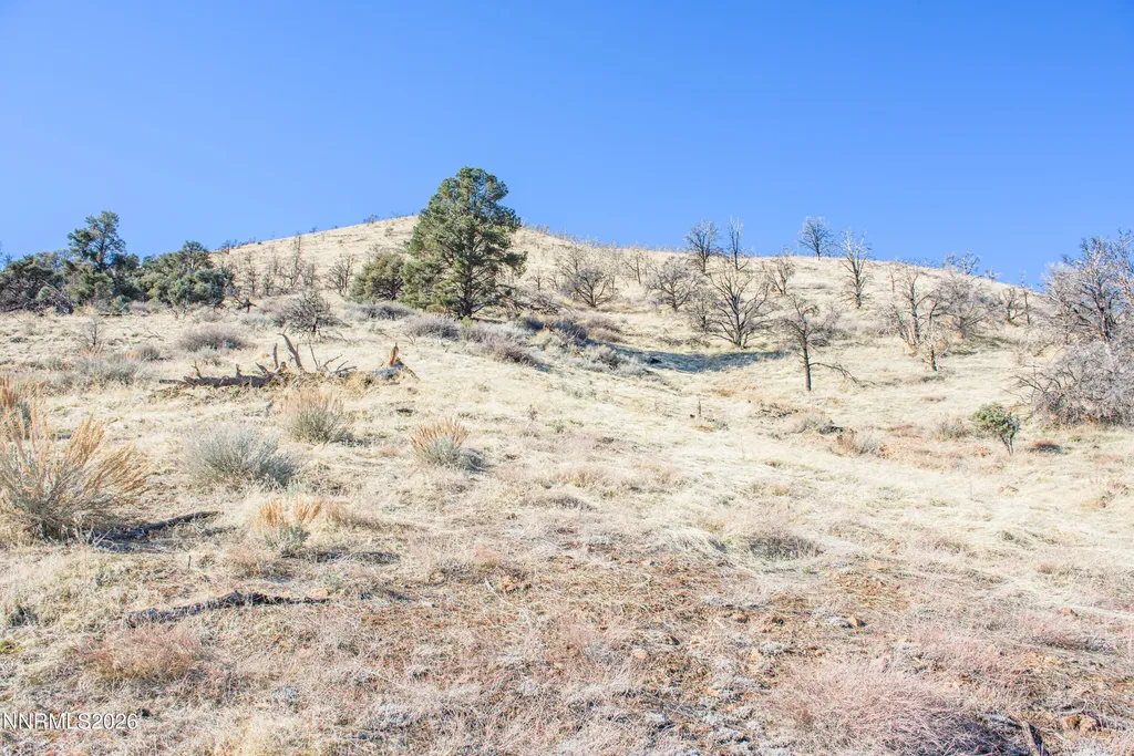 3221 Reese Gardnerville NV 89410
