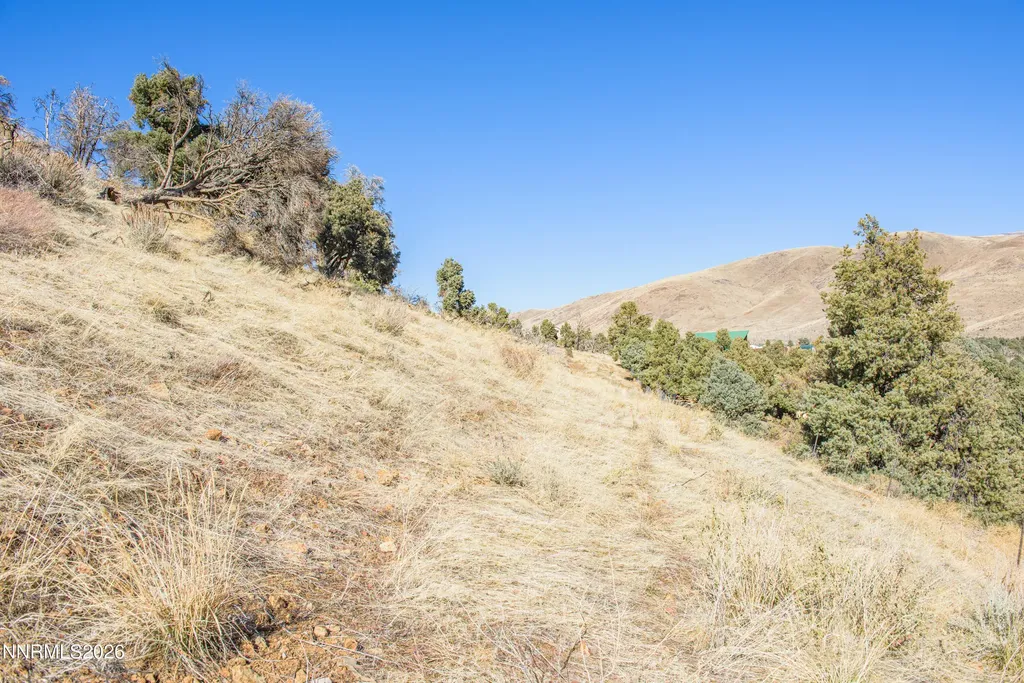 3221 Reese Gardnerville NV 89410