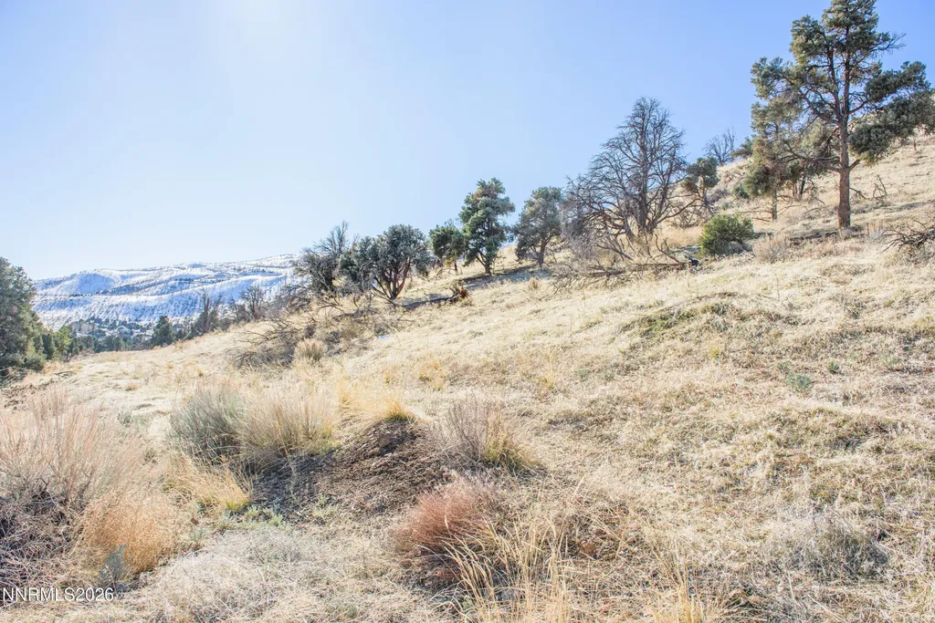 3221 Reese Gardnerville NV 89410