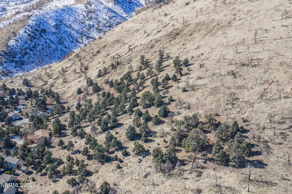 3221 Reese Gardnerville NV 89410