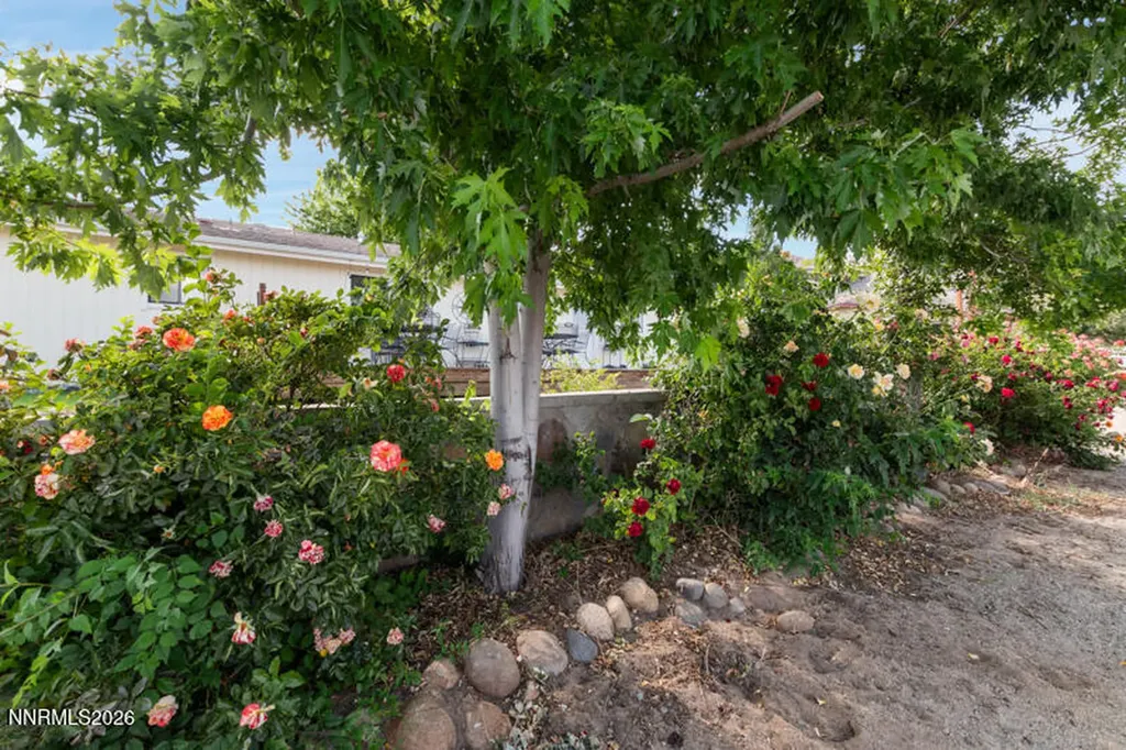 15 Connie Reno NV 89521