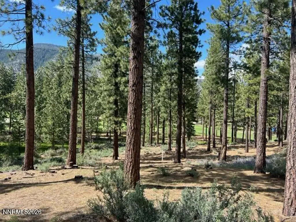 191 Cartwright Carson City NV 89705