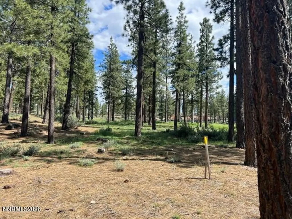 191 Cartwright Carson City NV 89705