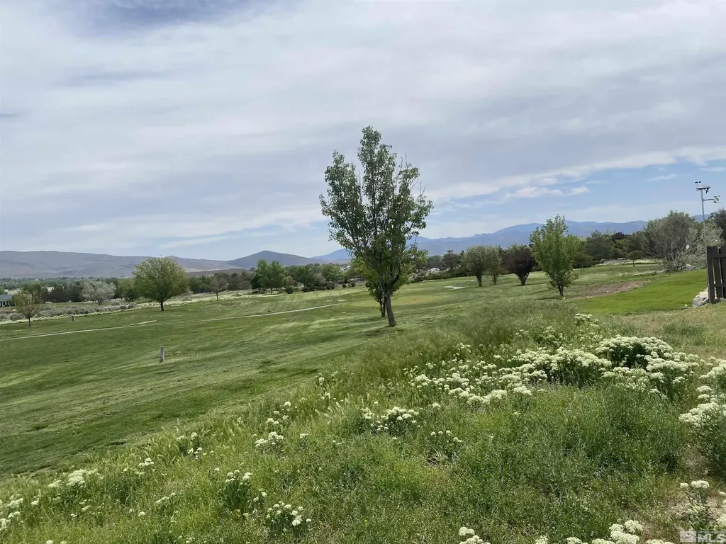 1552 Robb Carson City NV 89703