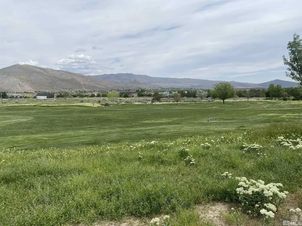 1552 Robb Carson City NV 89703