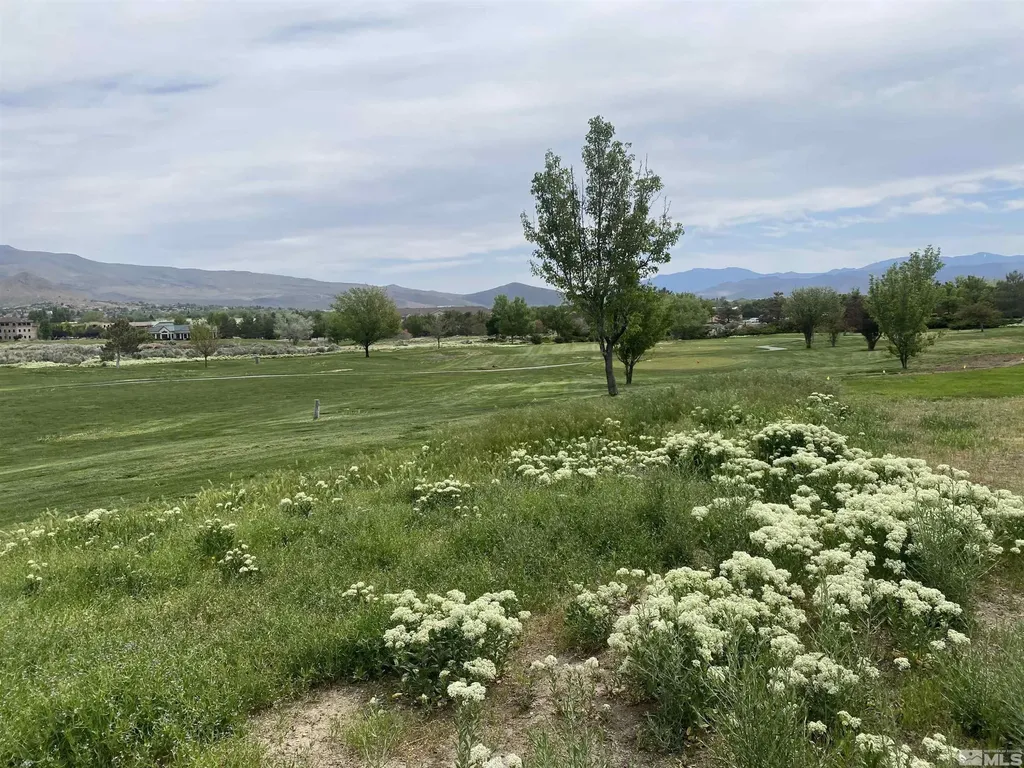 1552 Robb Carson City NV 89703