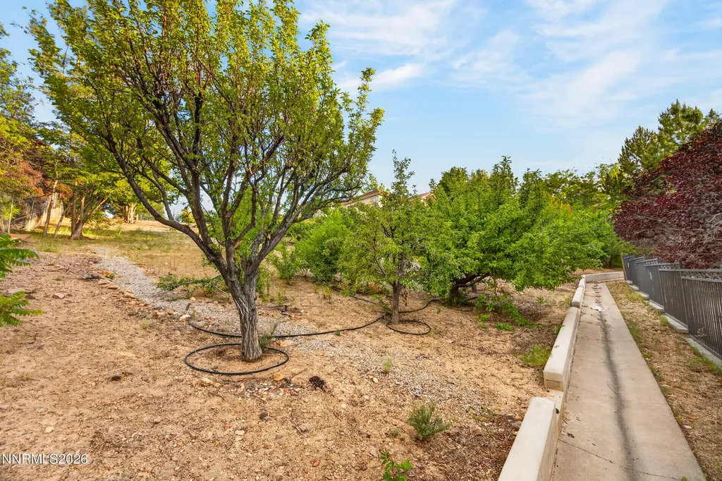 3790 Cashill Reno NV 89509