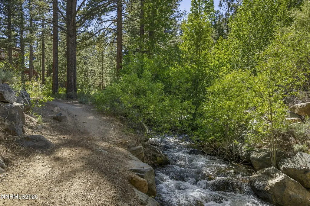 1255 Joy Lake Reno NV 89511