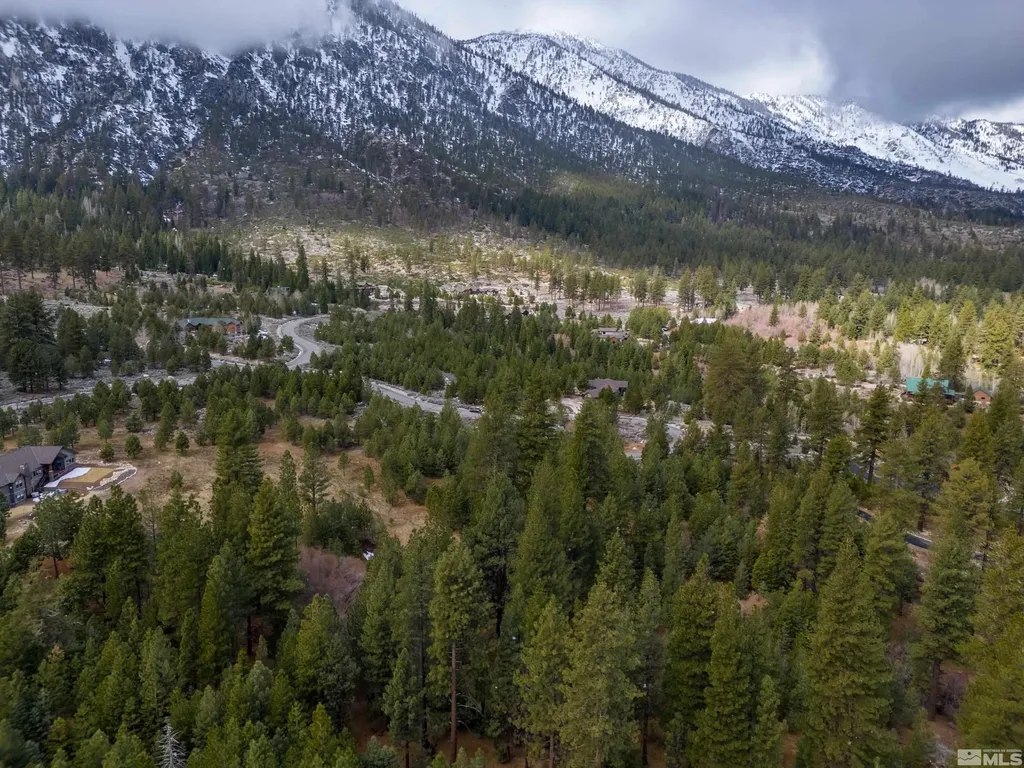 235 Job's Canyon Gardnerville NV 89460