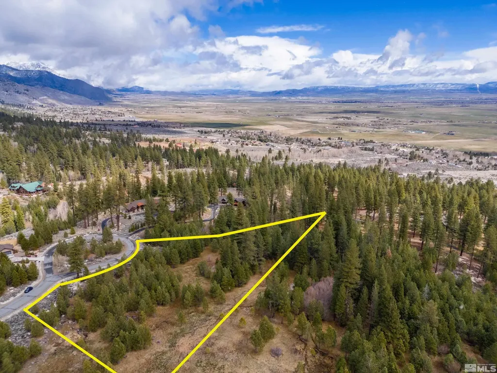 235 Job's Canyon Gardnerville NV 89460