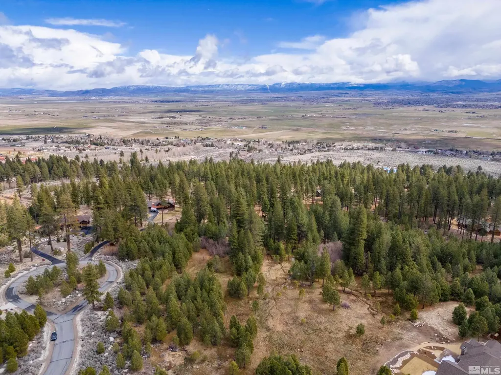 235 Job's Canyon Gardnerville NV 89460