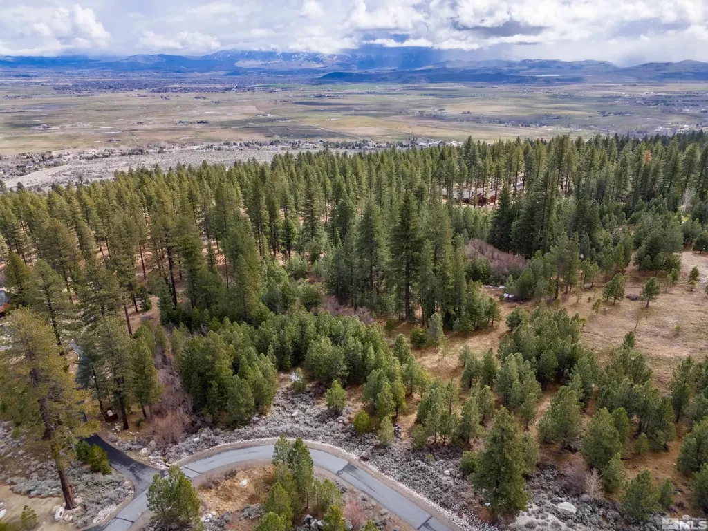 235 Job's Canyon Gardnerville NV 89460