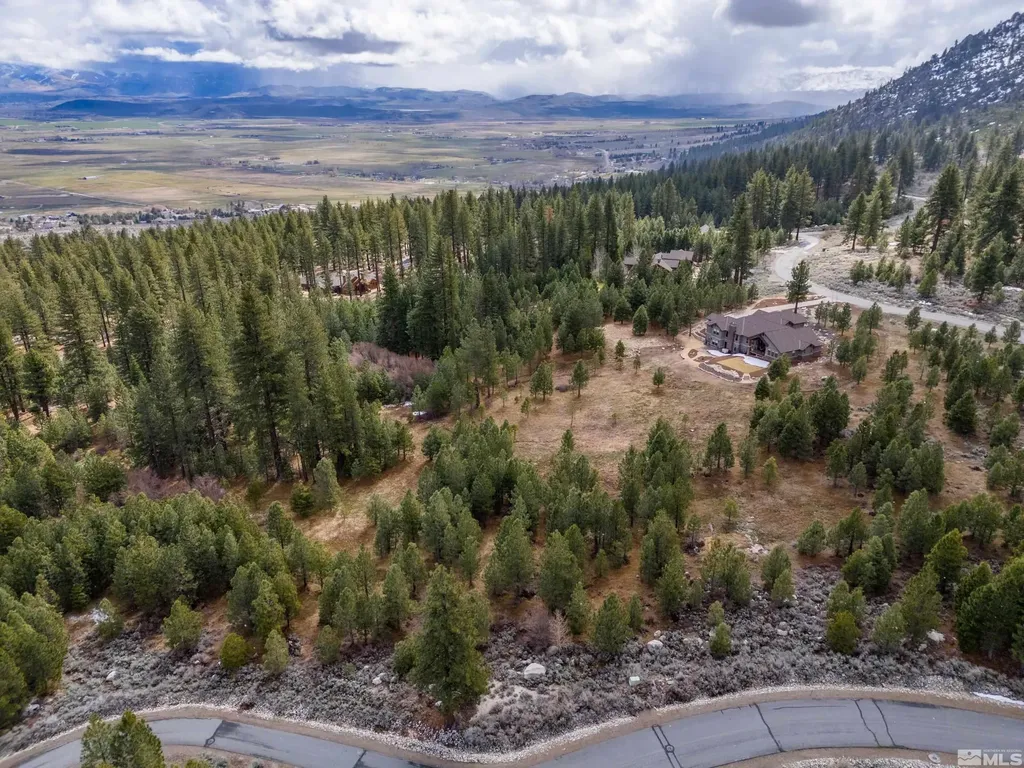 235 Job's Canyon Gardnerville NV 89460