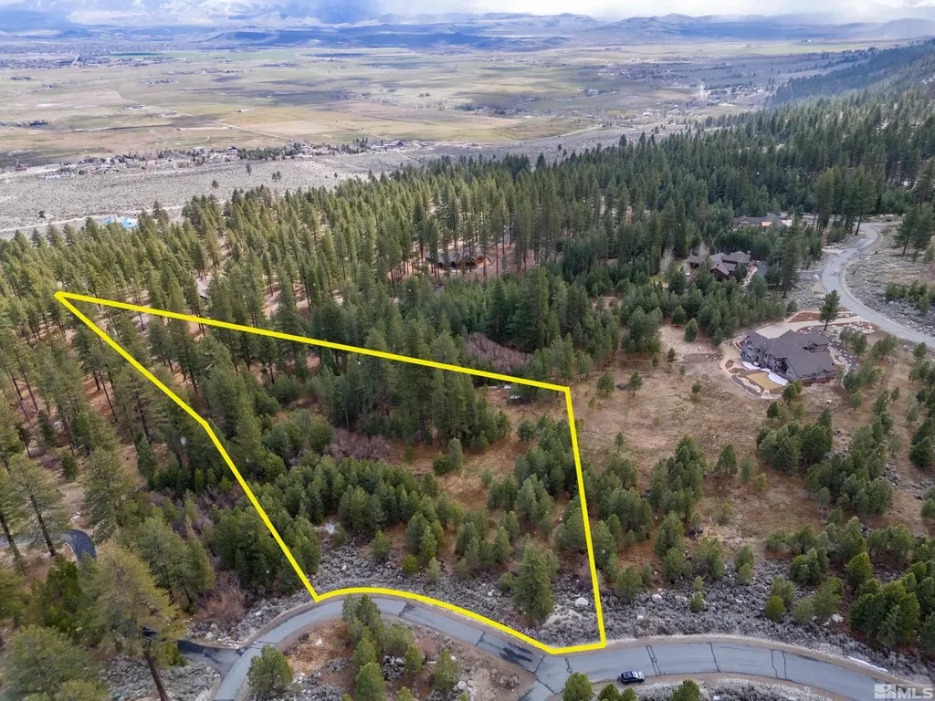 235 Job's Canyon Gardnerville NV 89460