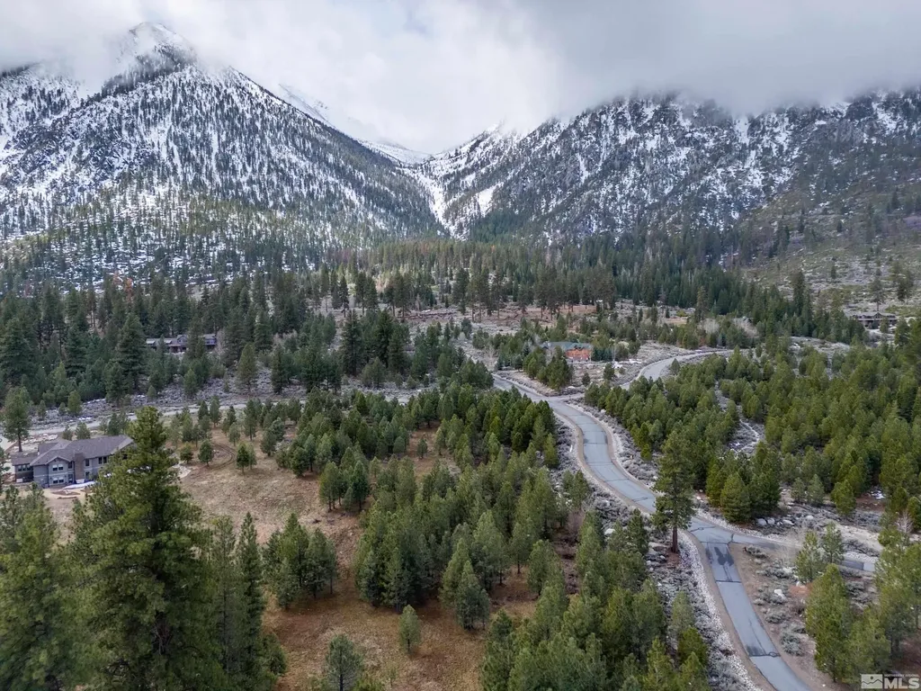 235 Job's Canyon Gardnerville NV 89460