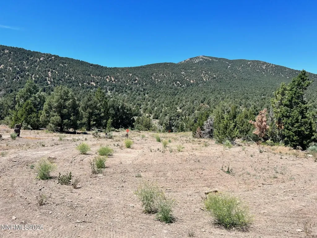 Tbd P14 Minden NV 89423