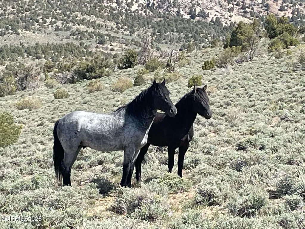 Tbd P14 Minden NV 89423