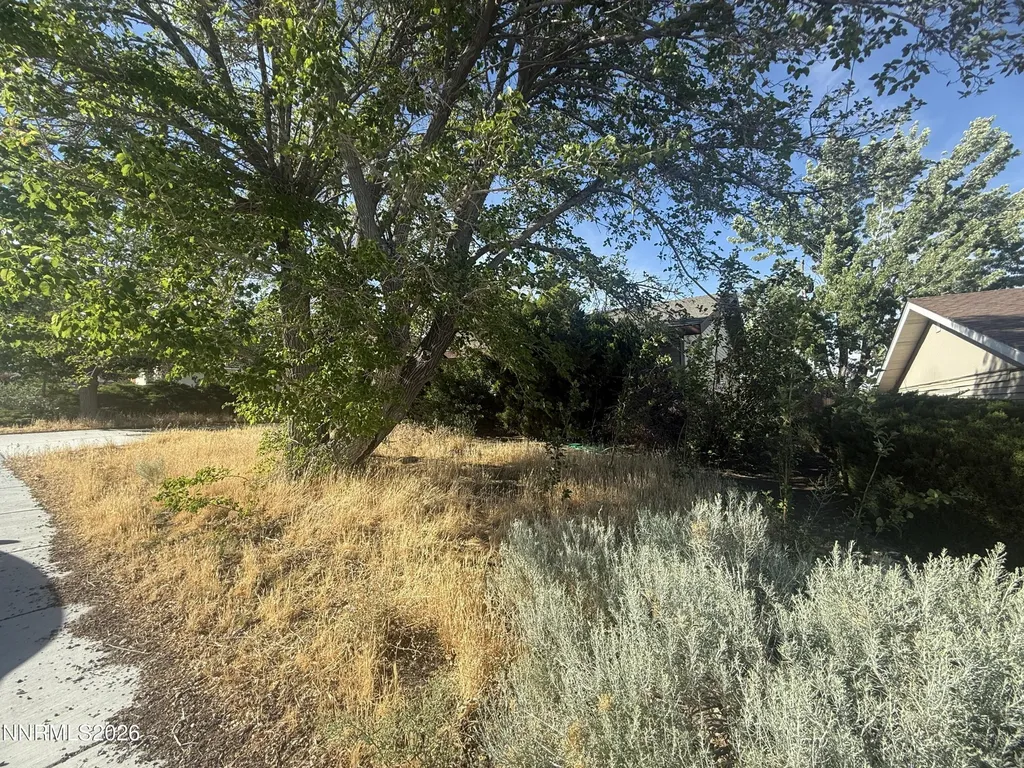 1700 Van Ness Reno NV 89503