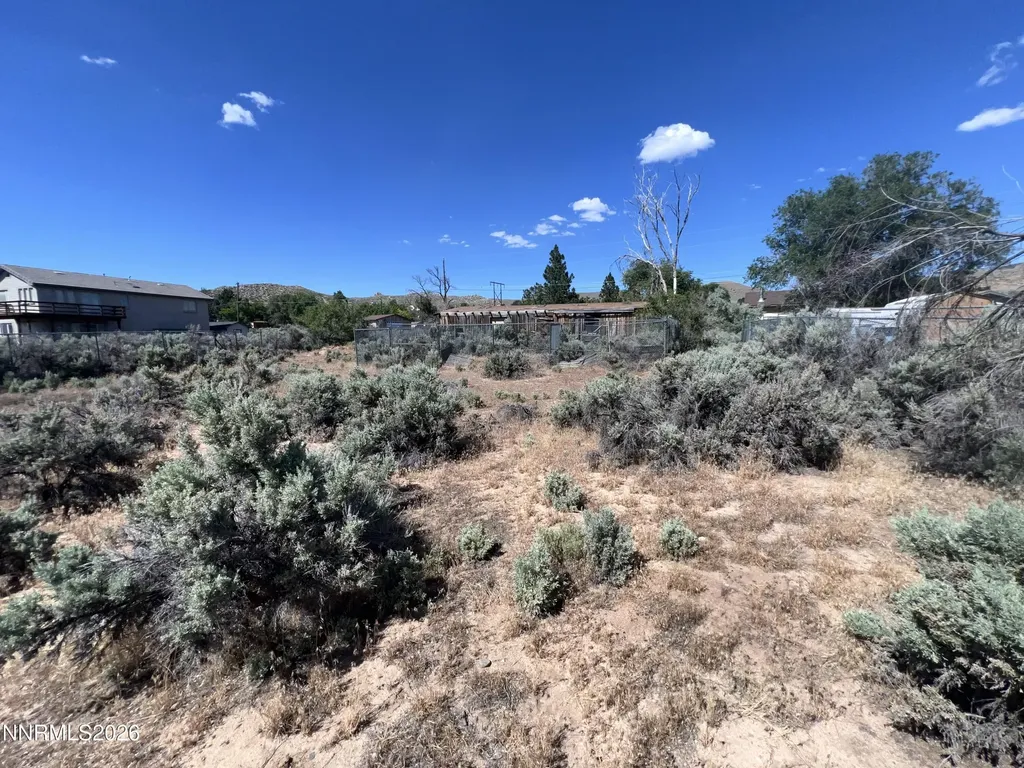 2485 Chukar Washoe Valley NV 89704