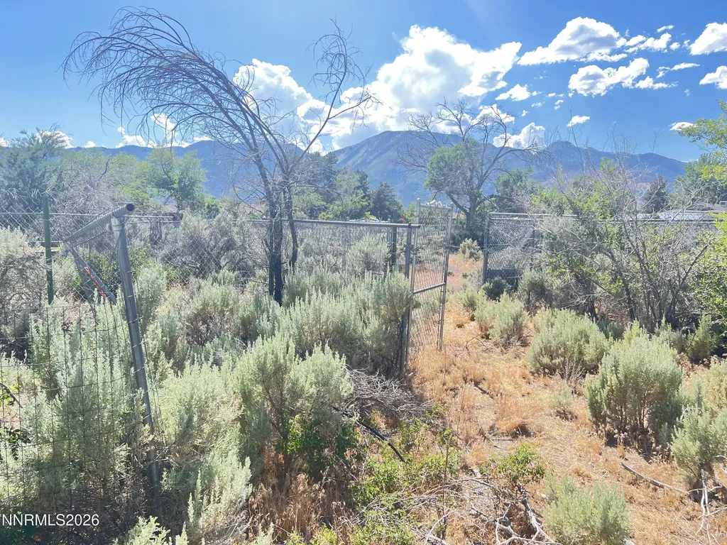 2485 Chukar Washoe Valley NV 89704