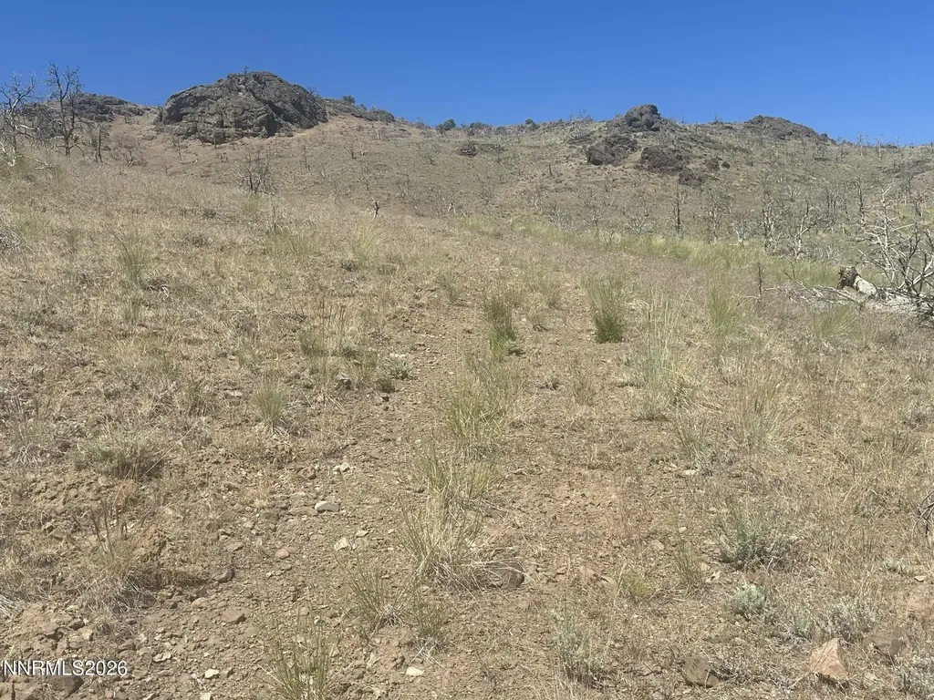 930 Cavelti Gardnerville NV 89410