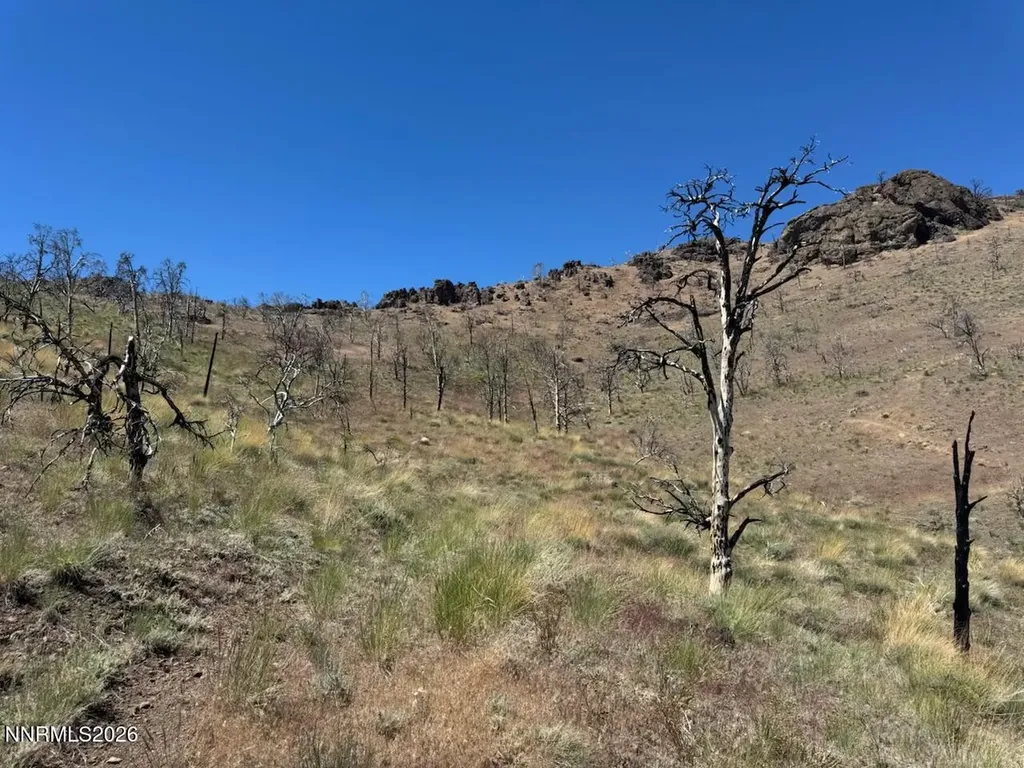 930 Cavelti Gardnerville NV 89410