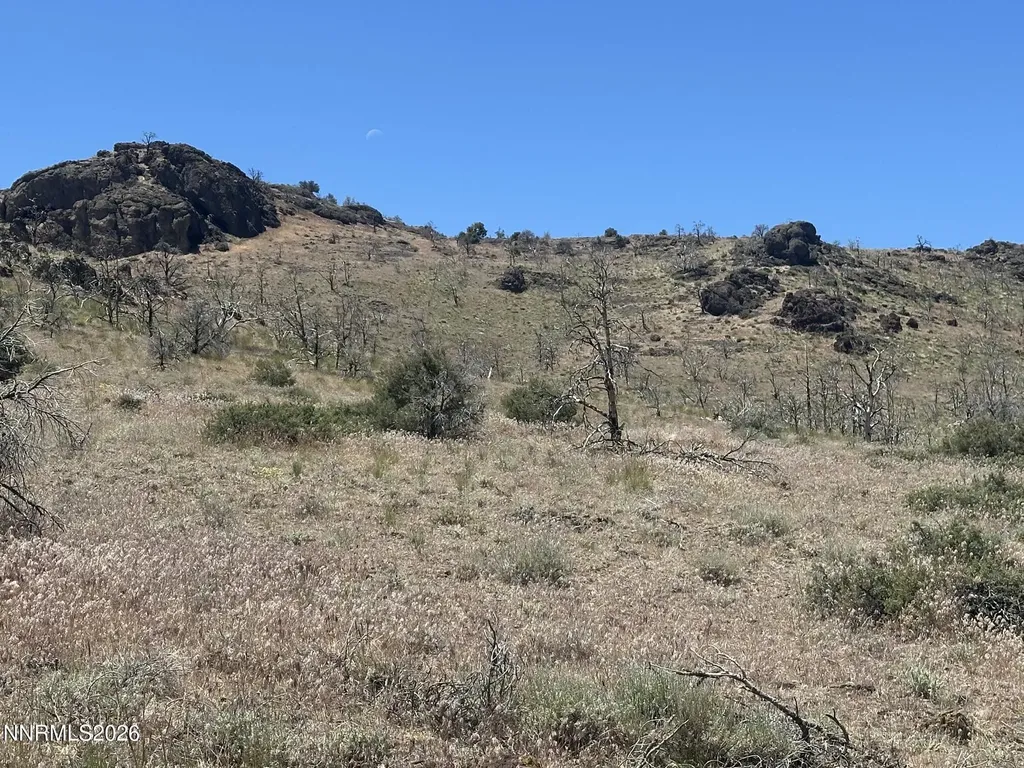 930 Cavelti Gardnerville NV 89410