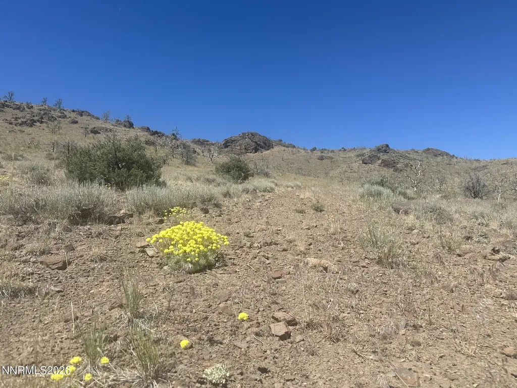 930 Cavelti Gardnerville NV 89410