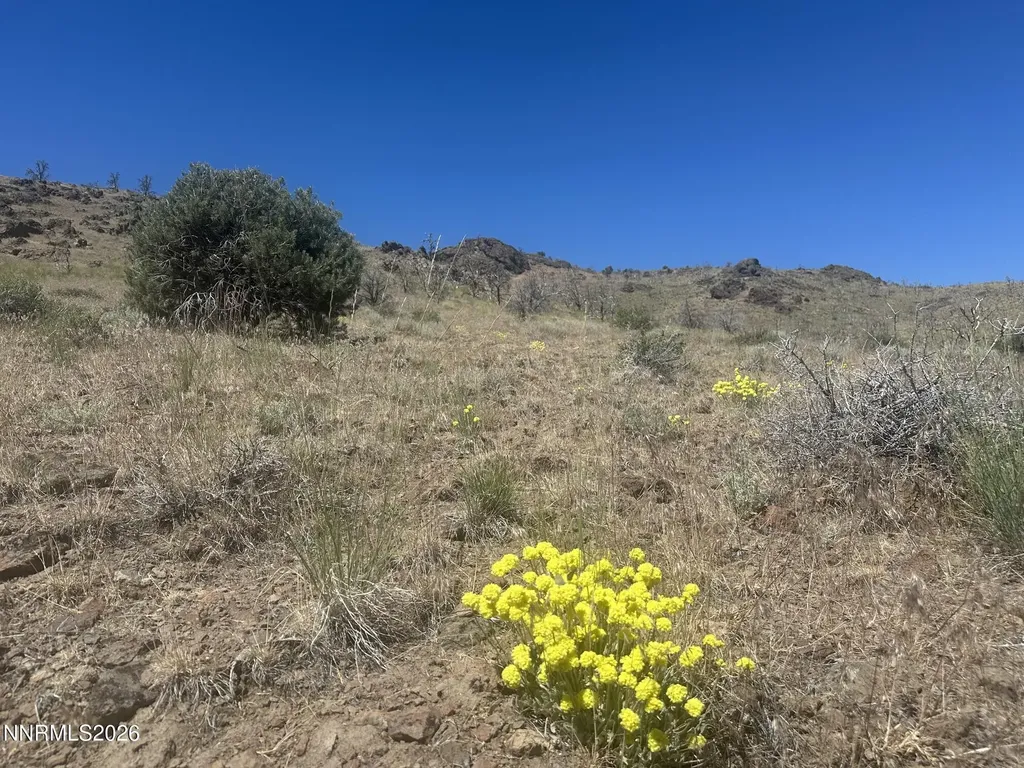 930 Cavelti Gardnerville NV 89410