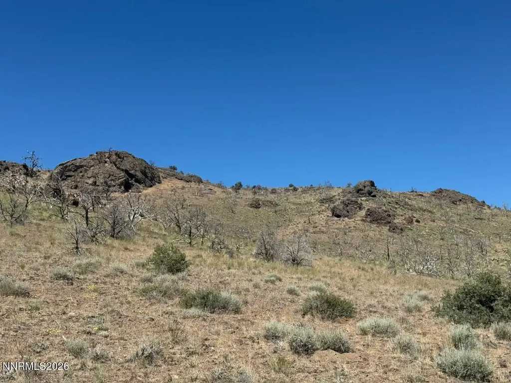 930 Cavelti Gardnerville NV 89410
