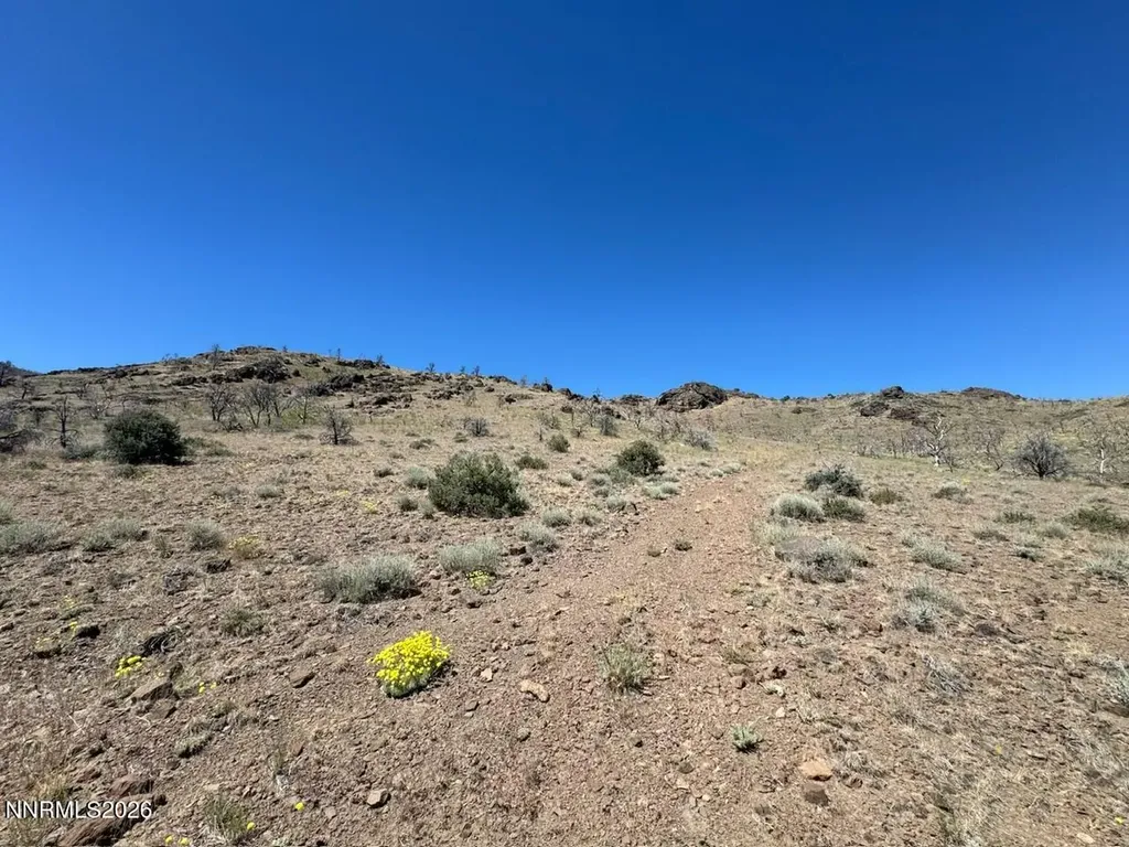 930 Cavelti Gardnerville NV 89410