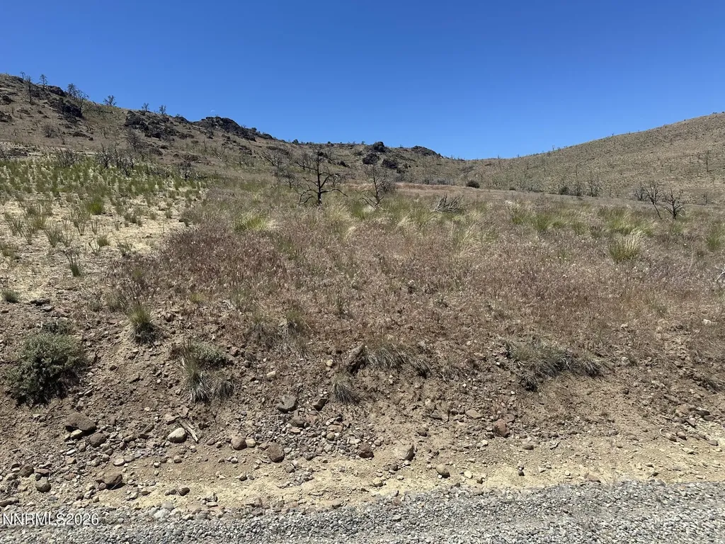 930 Cavelti Gardnerville NV 89410
